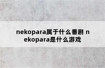 nekopara属于什么番剧 nekopara是什么游戏